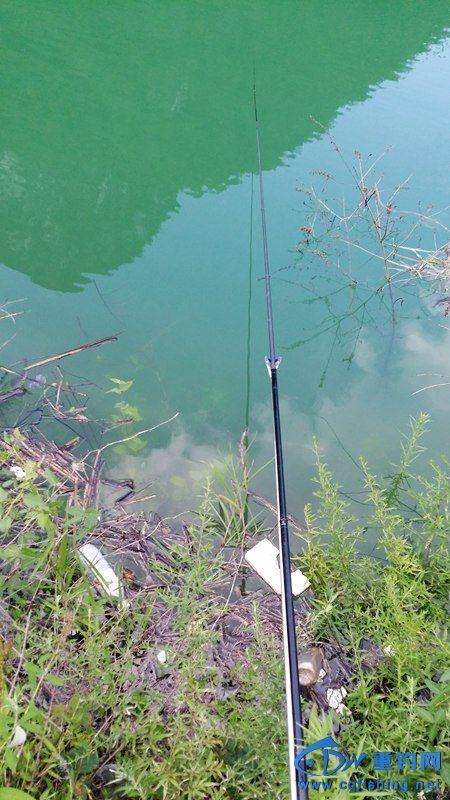 20140814_174044.jpg