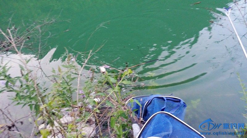 20140814_190822.jpg