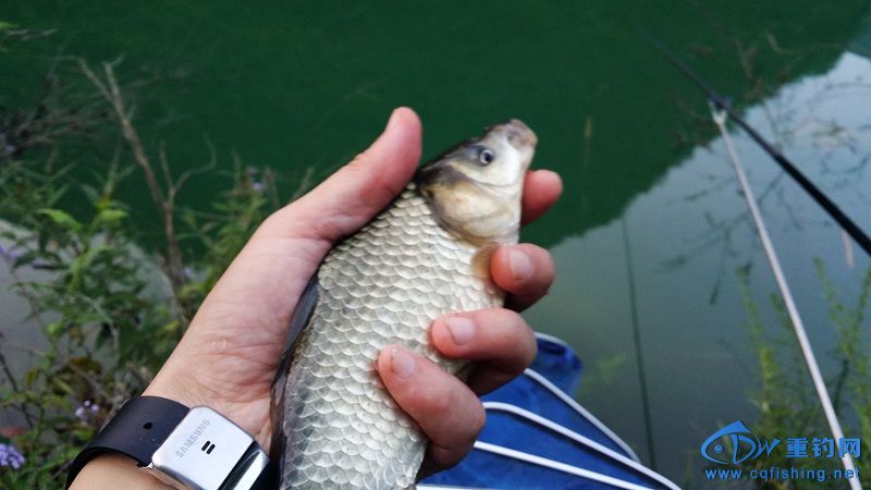 20140814_190922.jpg