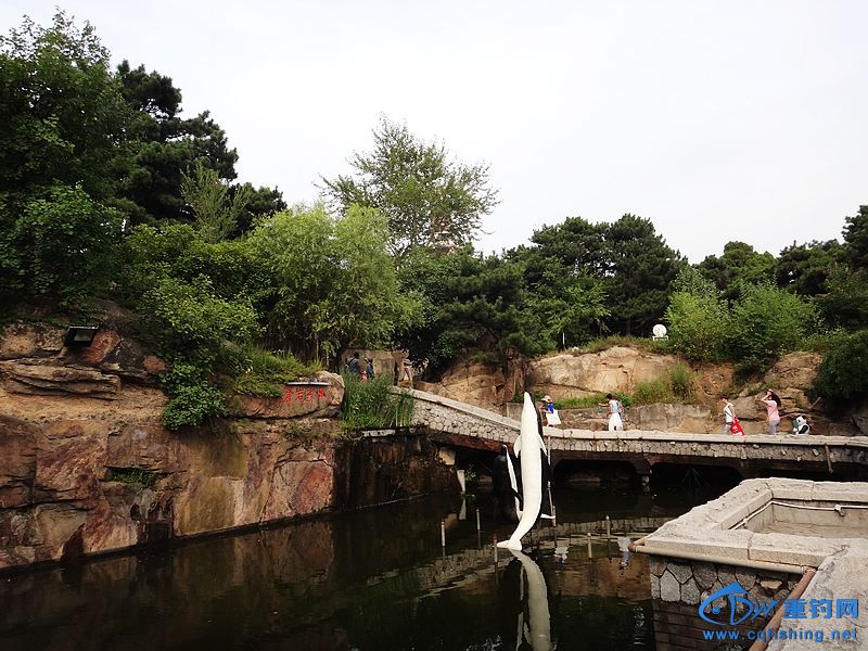 nEO_IMG_DSC01204.jpg