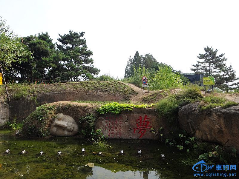 nEO_IMG_DSC01206.jpg
