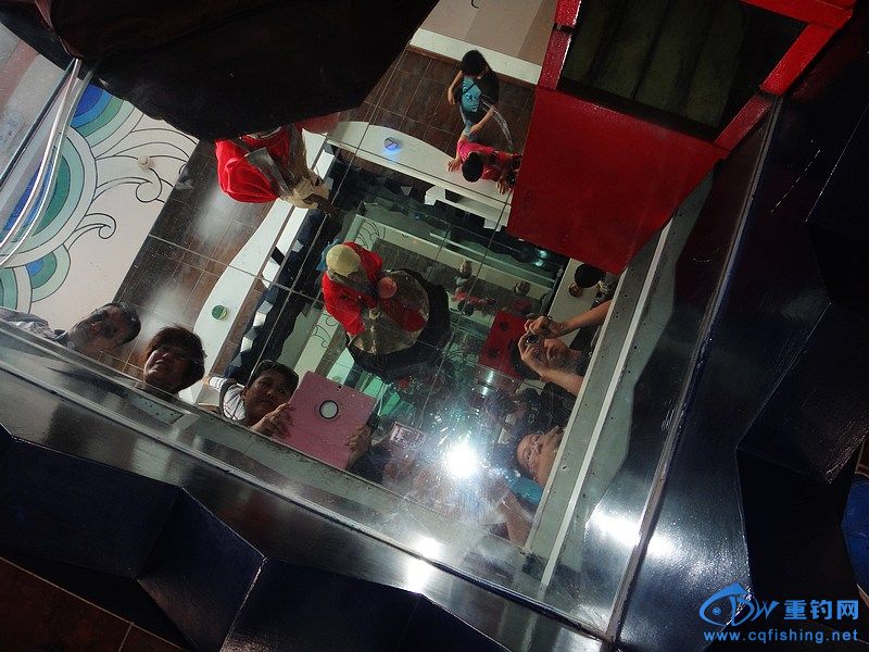nEO_IMG_DSC01227.jpg