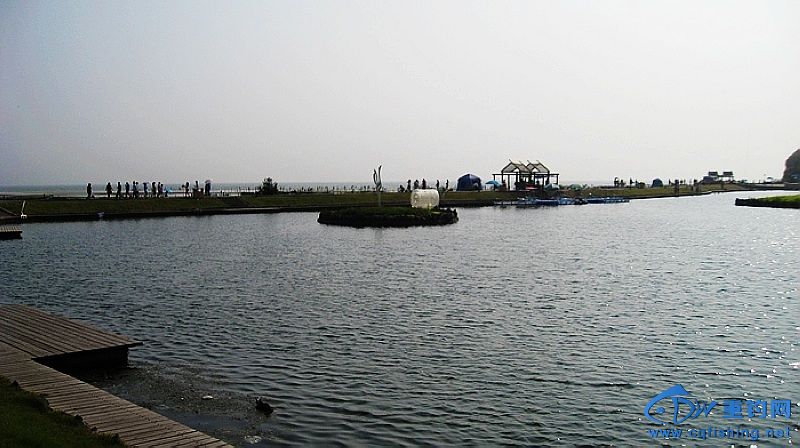 nEO_IMG_nEO_IMG_IMG_8828.jpg