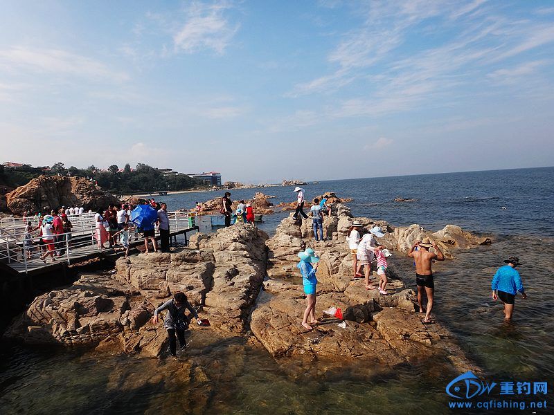 nEO_IMG_DSC00849.jpg
