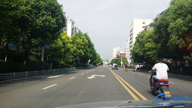 20140815_092905.jpg