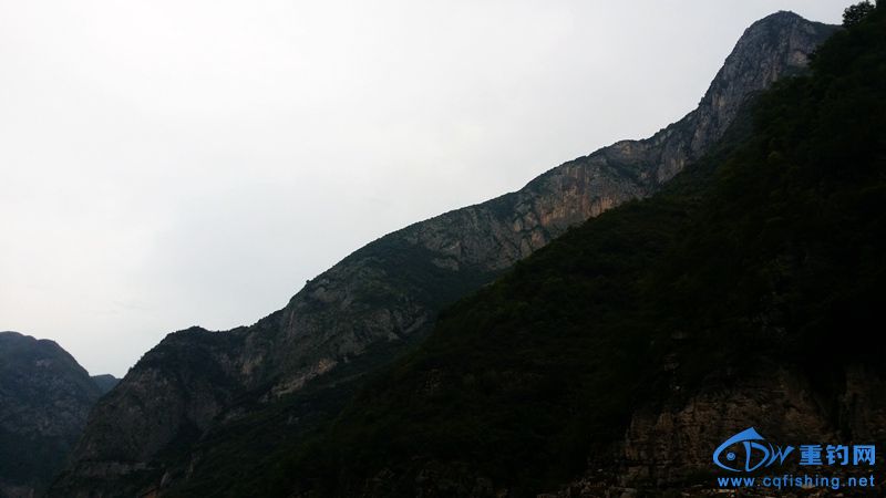 20140815_113146.jpg