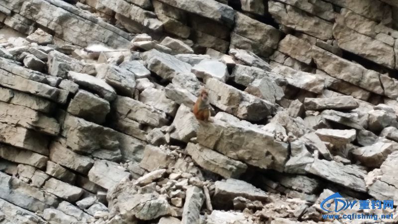 20140815_113650.jpg
