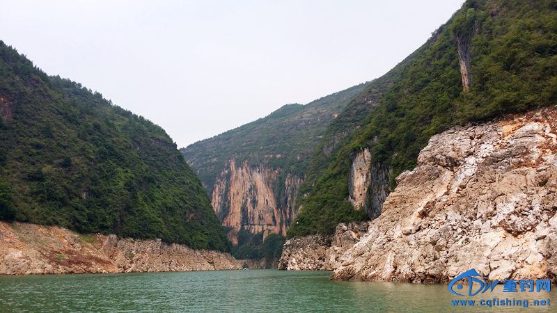 20140815_114203.jpg