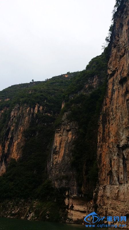 20140815_114305.jpg