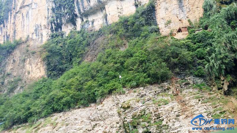 20140815_114354.jpg