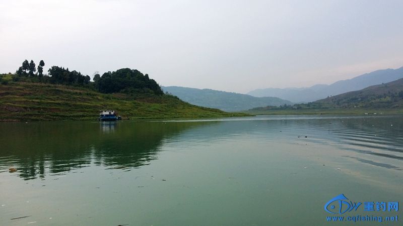 20140815_120123.jpg