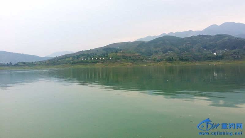 20140815_120221.jpg