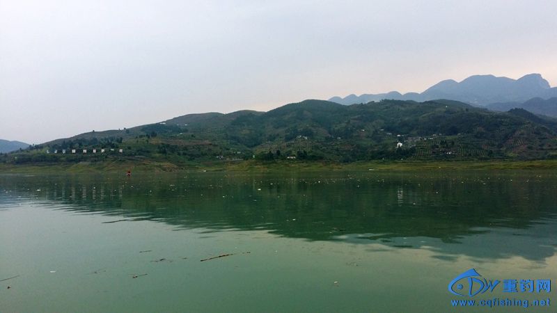 20140815_120245.jpg