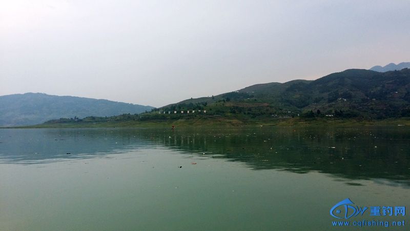 20140815_120249.jpg