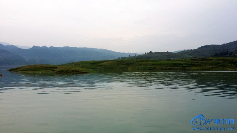 20140815_120647.jpg