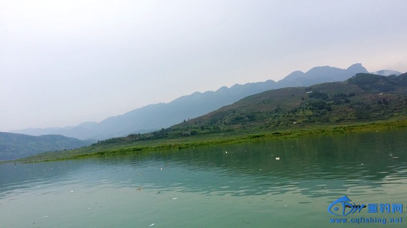 20140815_121000.jpg