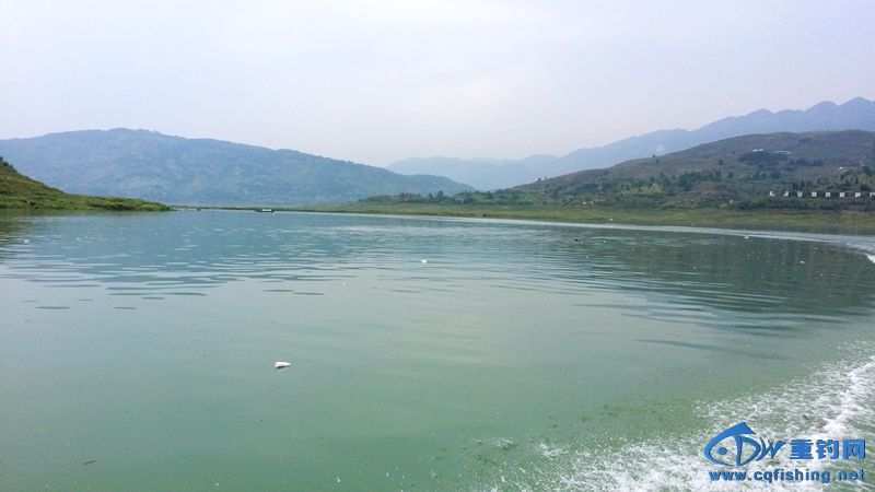 20140815_121716.jpg