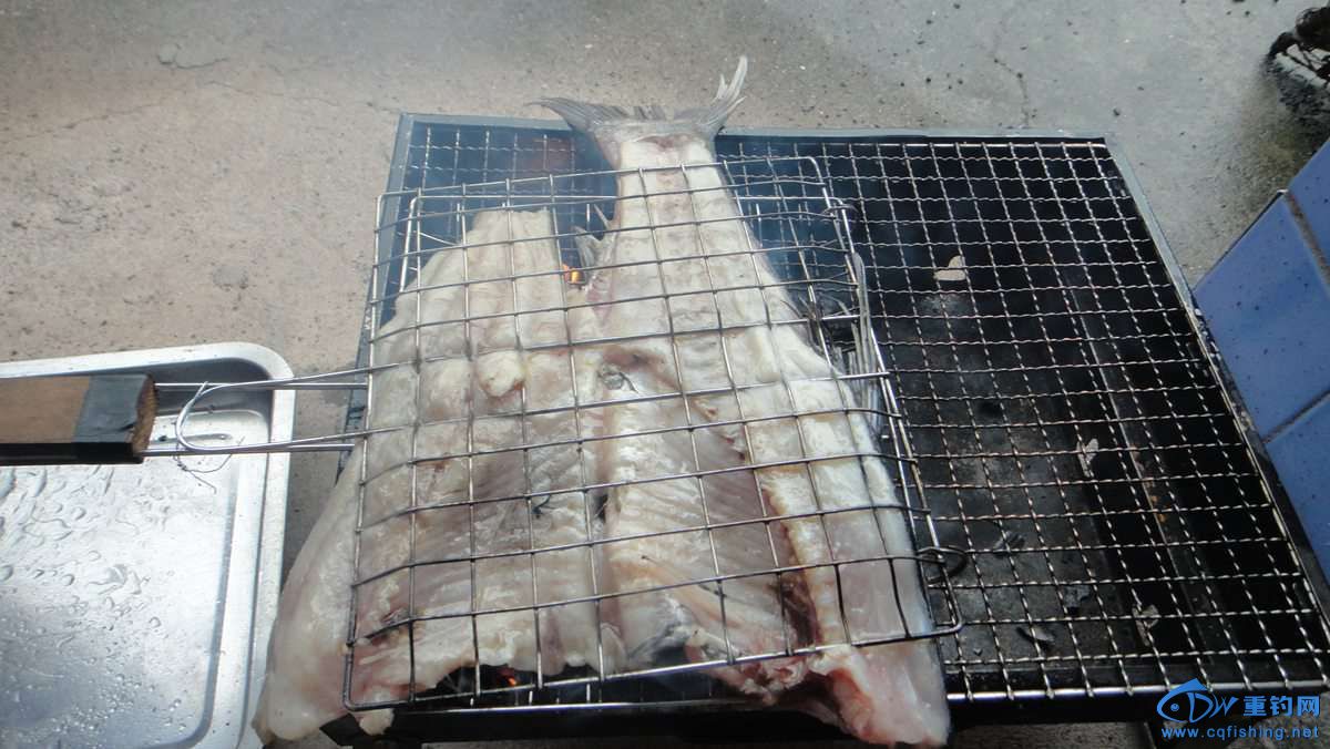 DSC00210.jpg