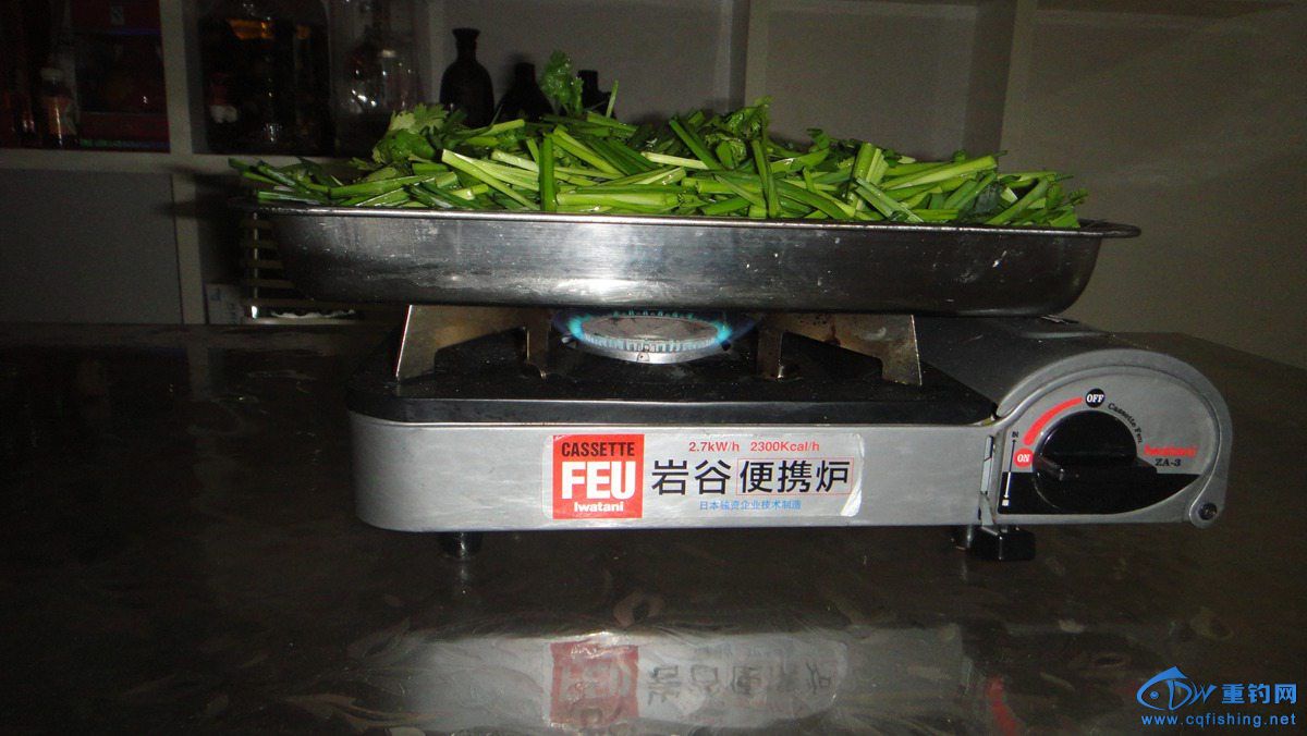 DSC00232.jpg