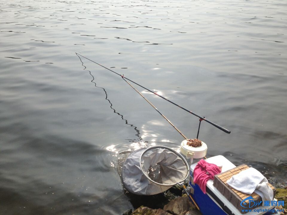 095542w2ictbsctphiyrj9.jpg