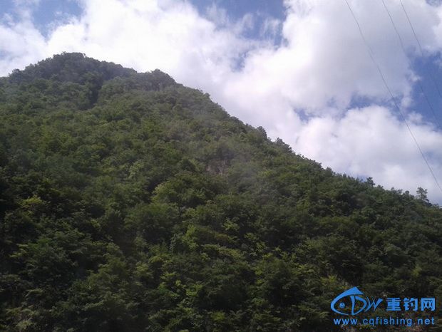 20140903_150714_С_С.jpg