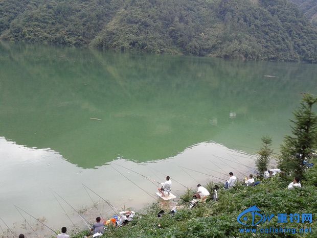 20140904_155719_С_С.jpg