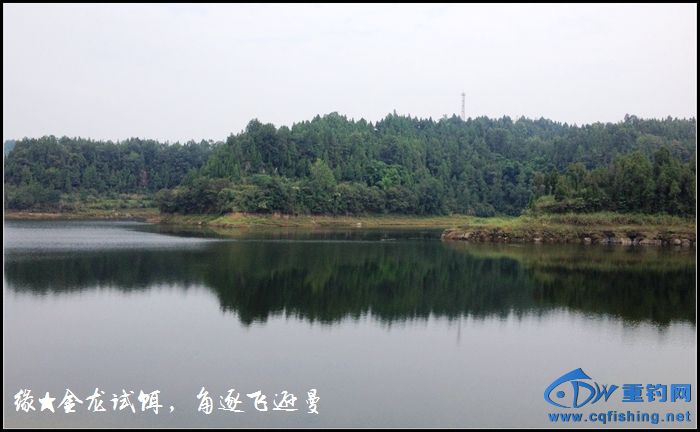 06.jpg