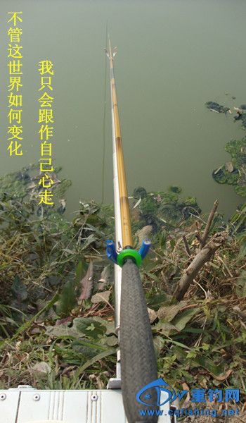 1401240940e9361d45d4907eba.jpg