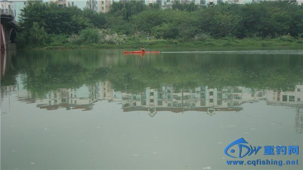 DSC00319__.jpg