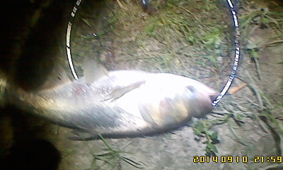 IMG0910215900.jpg