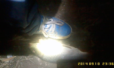 IMG0910233601.jpg