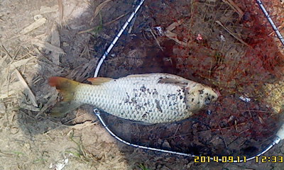 IMG0911123301.jpg