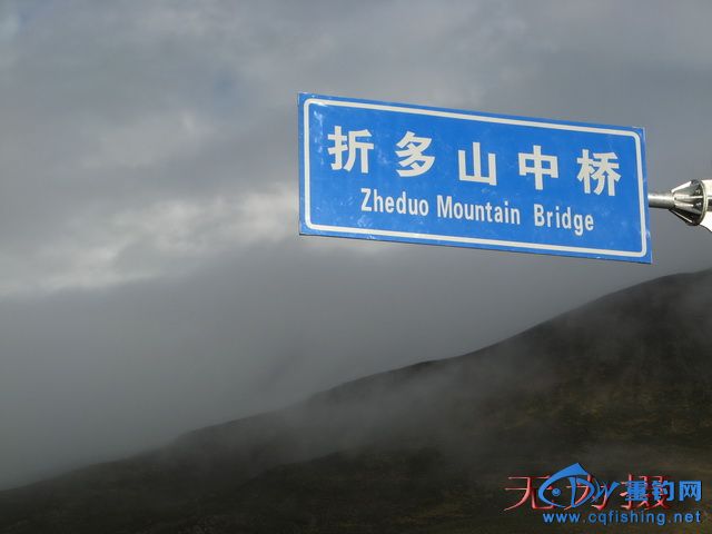 175107dtzvqerhz7blrvcr.jpg