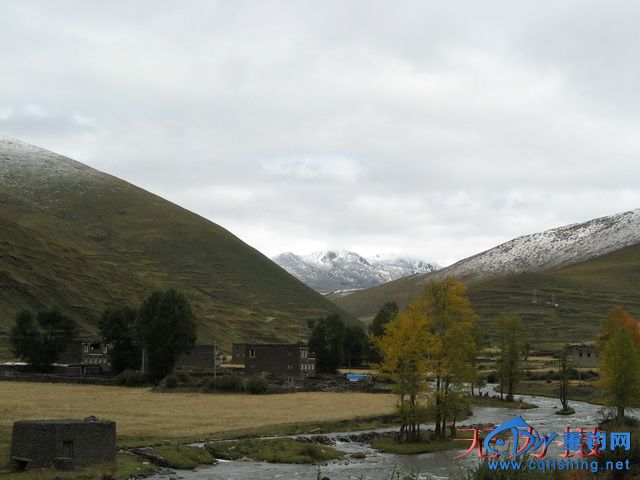 175128p66i06j9ueaiizp9.jpg
