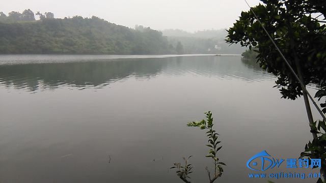 IMG_20140913_081733.jpg