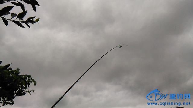IMG_20140913_090823.jpg