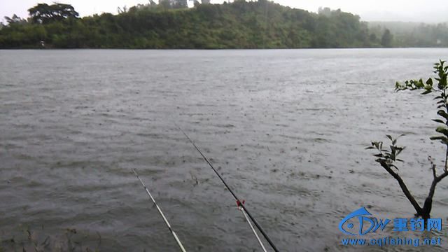 IMG_20140913_095303.jpg