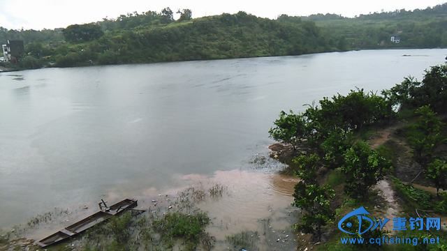 IMG_20140913_122027.jpg