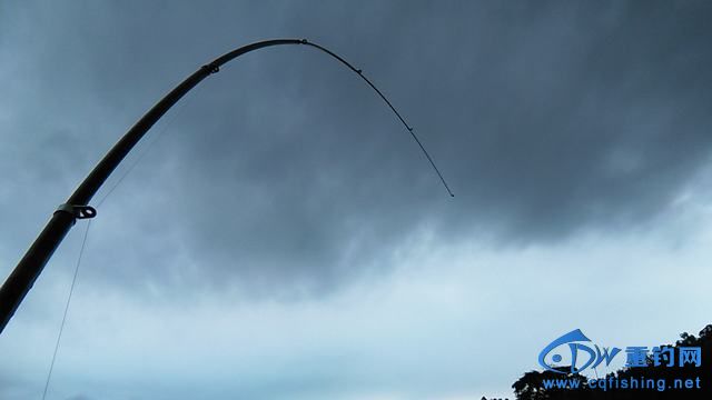 IMG_20140913_141101.jpg