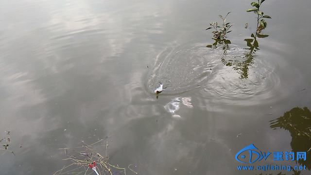 IMG_20140913_154637.jpg