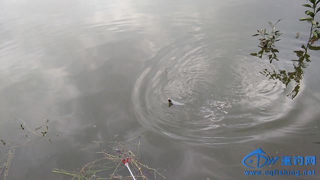 IMG_20140913_154639.jpg