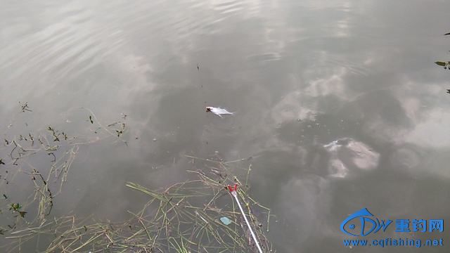 IMG_20140913_154645.jpg