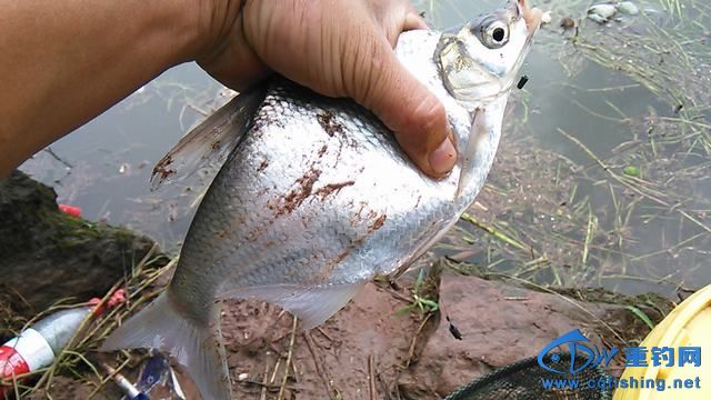 IMG_20140913_154743.jpg