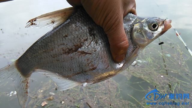 IMG_20140913_154753.jpg
