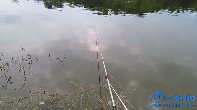 IMG_20140913_155212.jpg