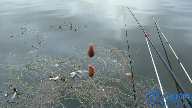 IMG_20140913_174610.jpg