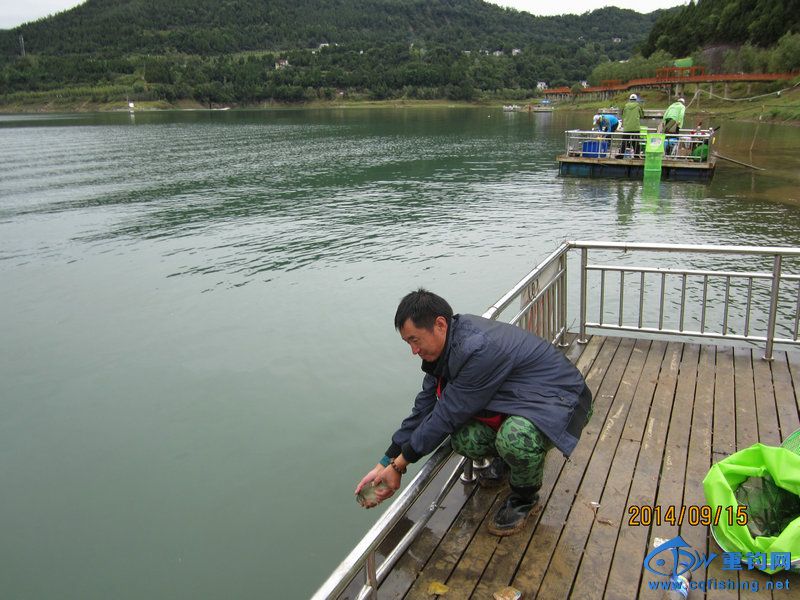 IMG_1460.JPG