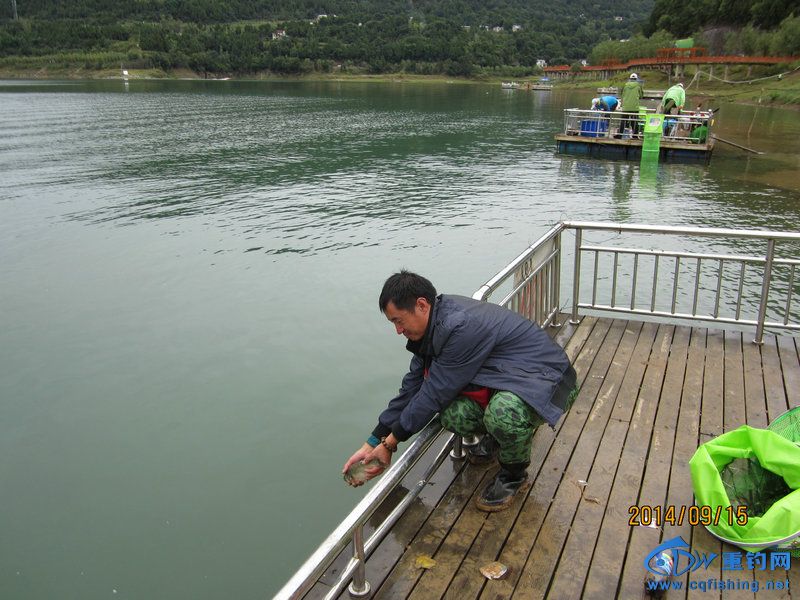 IMG_1461.JPG