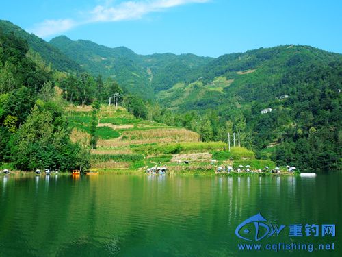DSCN3966.jpg