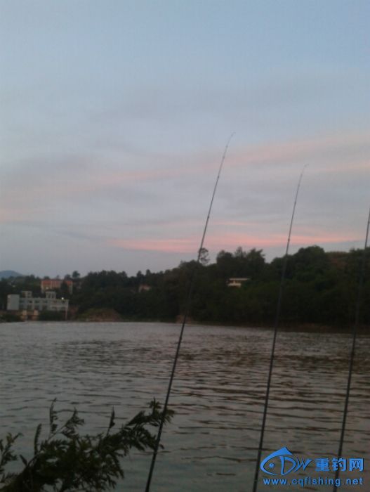 140352hztlqr8odcthtqcq.jpg